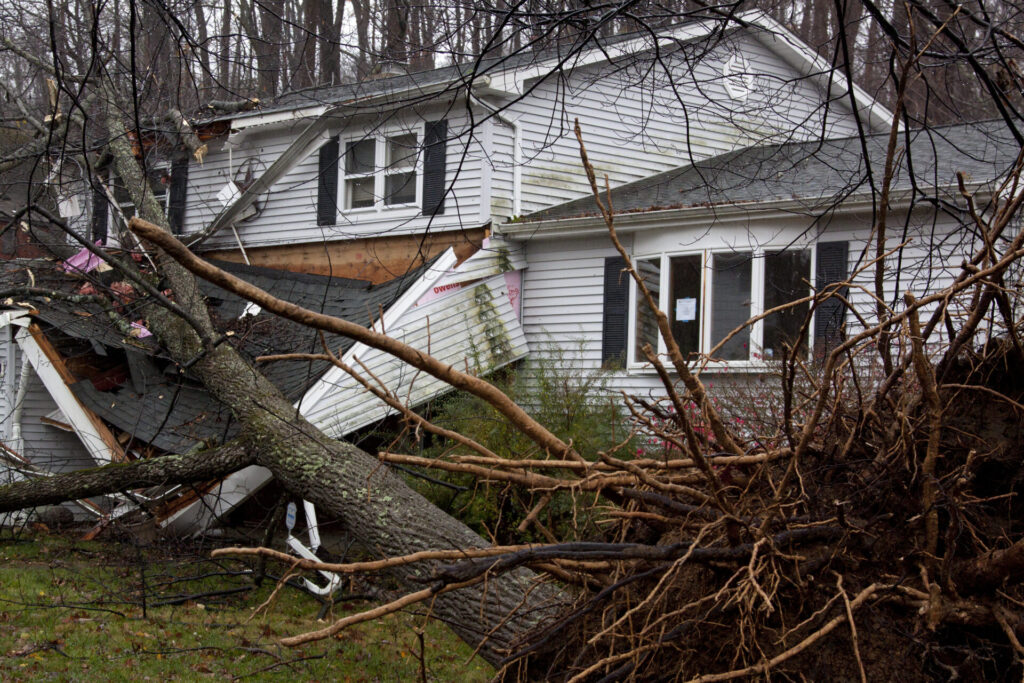 Tree damage can be a major cause of damage after an ice storm. 