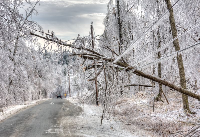 dommages causés par la tempête de verglas